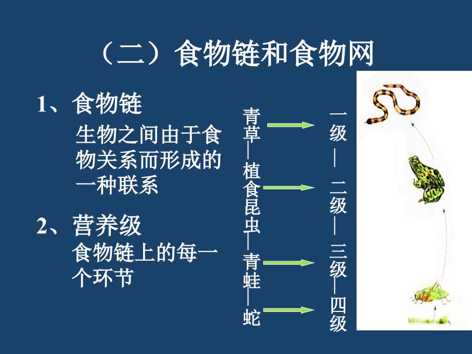生态系统的成分PPT课件.ppt_第3页