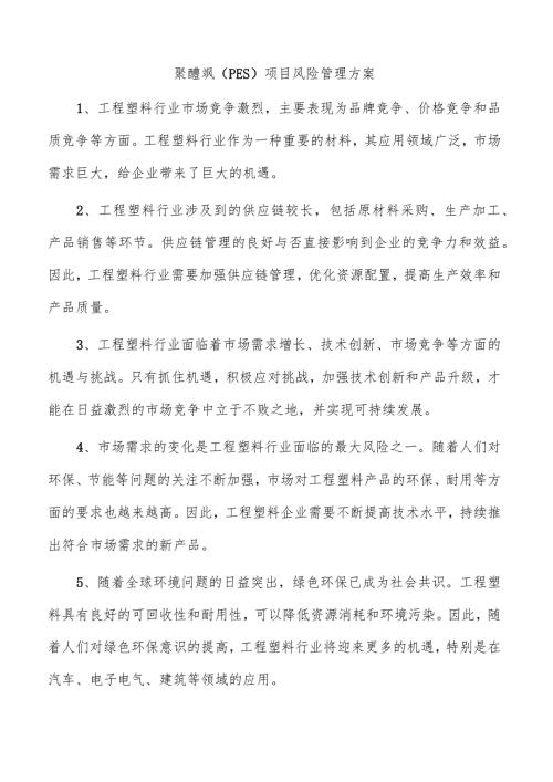 聚醚砜（PES）项目风险管理方案.docx