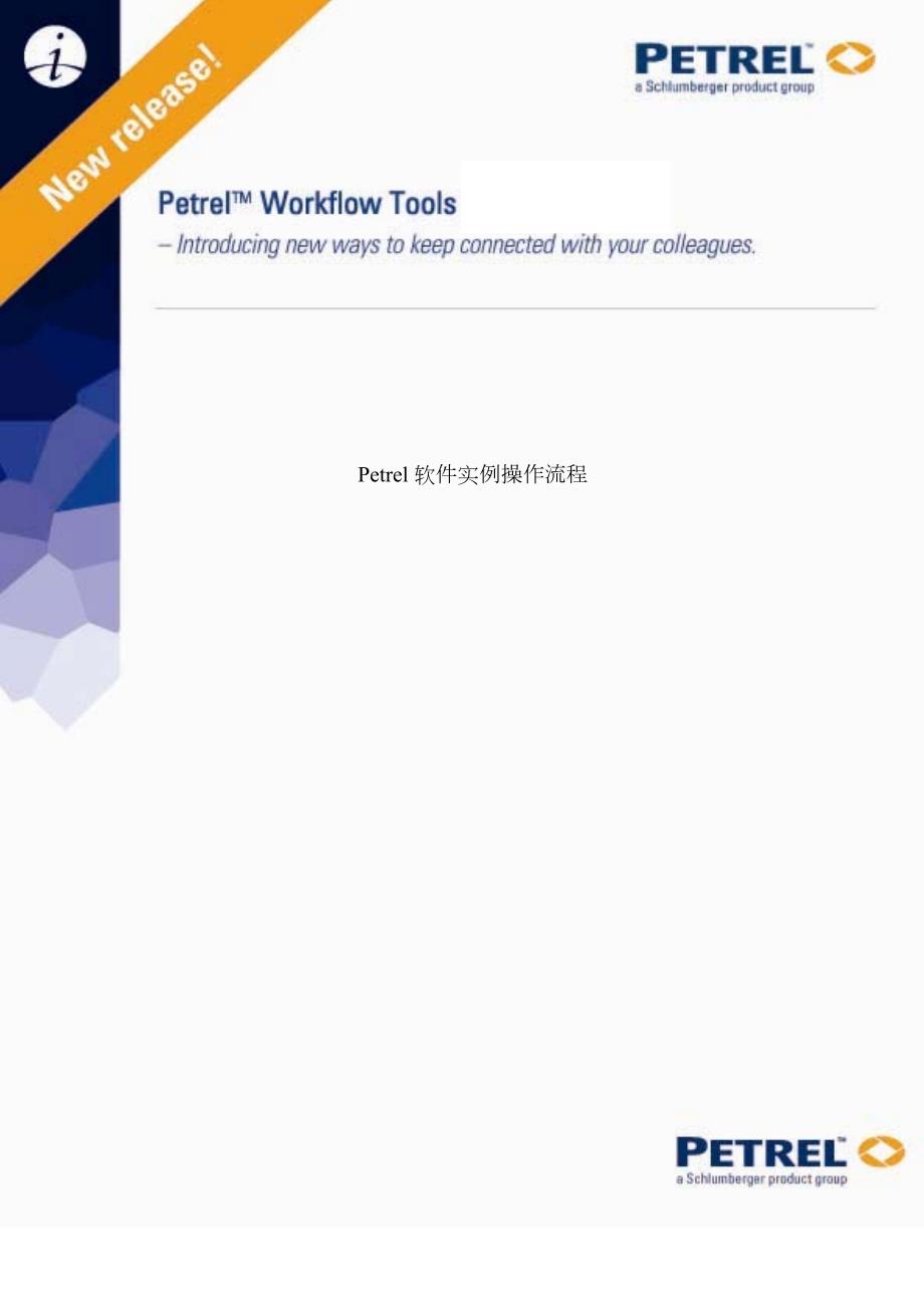 Petrel软件实例操作标准流程.doc_第1页