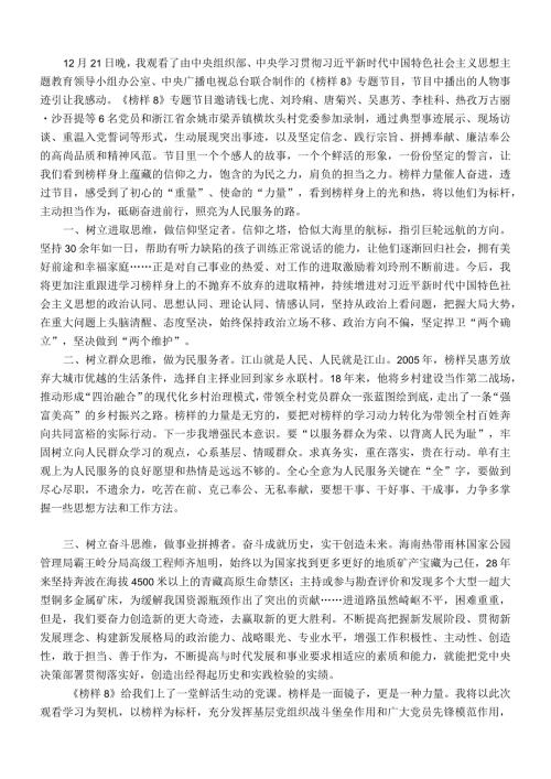 《榜样8》心得体会：用榜样之光照亮前行之路(2).docx