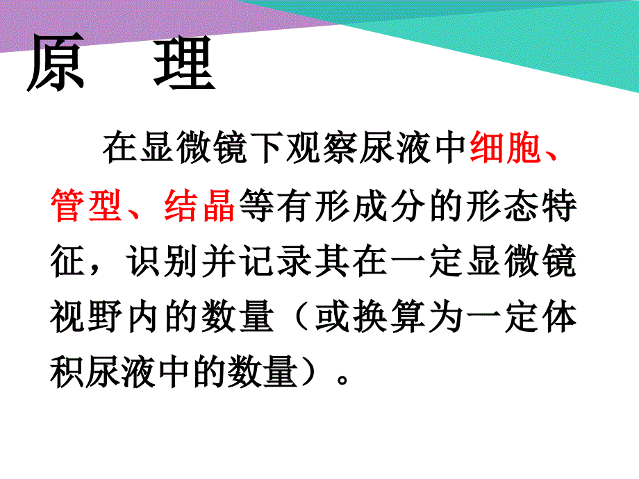 尿液有形成分分析完整版.ppt_第3页