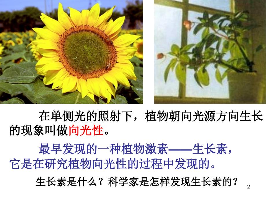 生物必修三第三章第一节.ppt_第2页