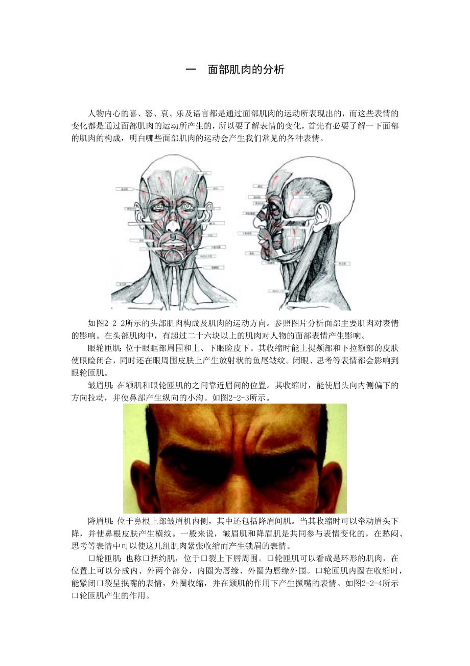 一面部肌肉的分析.doc_第1页