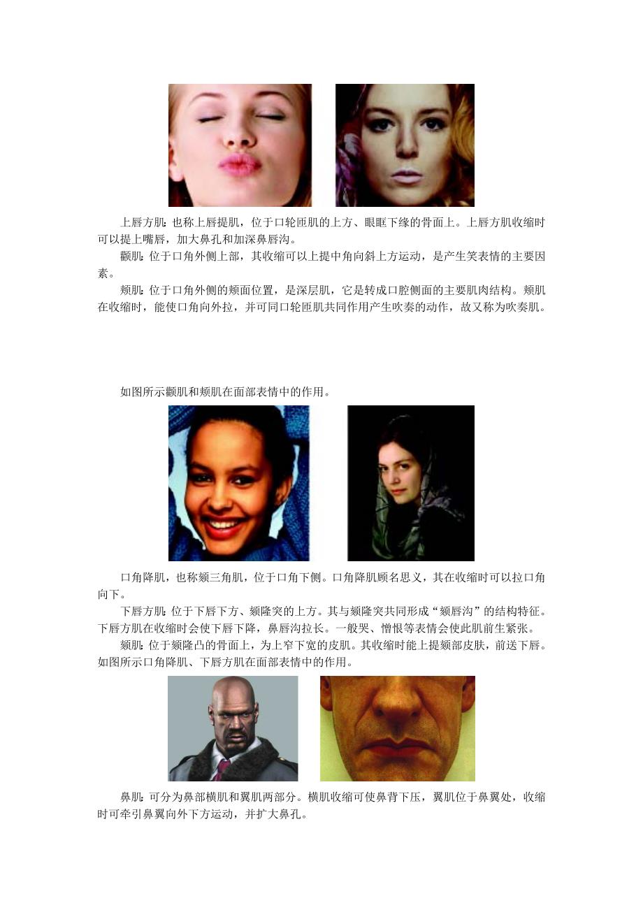 一面部肌肉的分析.doc_第2页