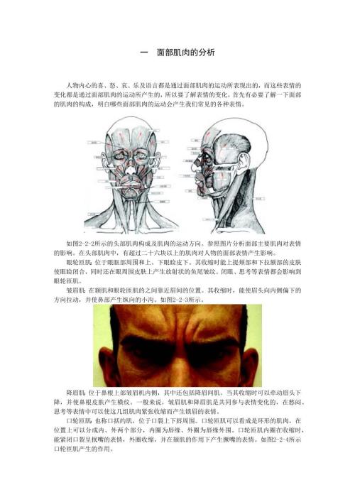 一面部肌肉的分析.doc