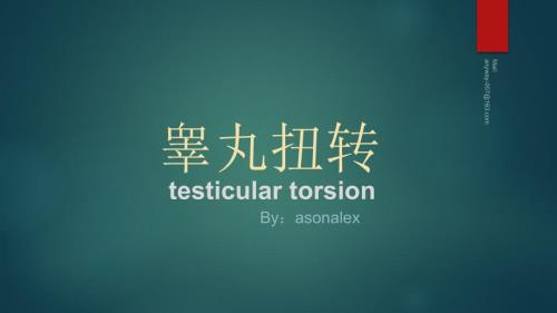 睾丸及附件扭转超声表现.ppt