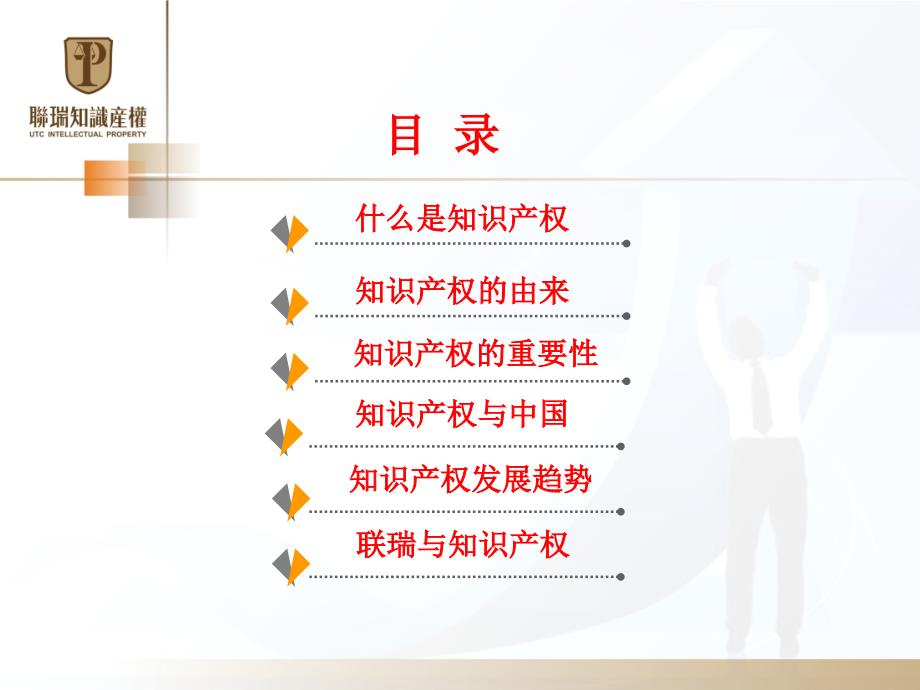 知识产权行业介绍.ppt_第2页