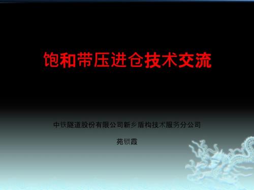 盾构饱和带压进仓技术交流.ppt