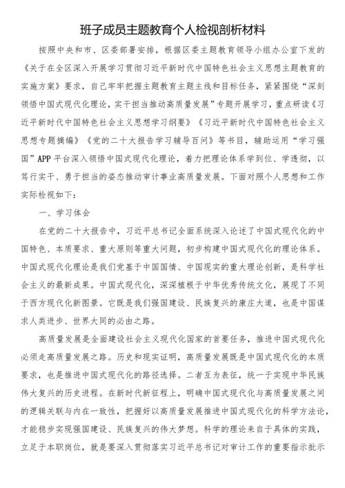 班子成员主题教育个人检视剖析材料.docx