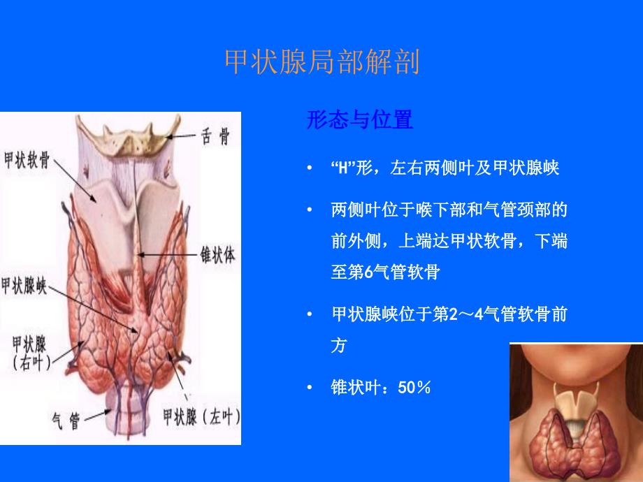 甲状腺部分切除术手术配合.ppt_第2页