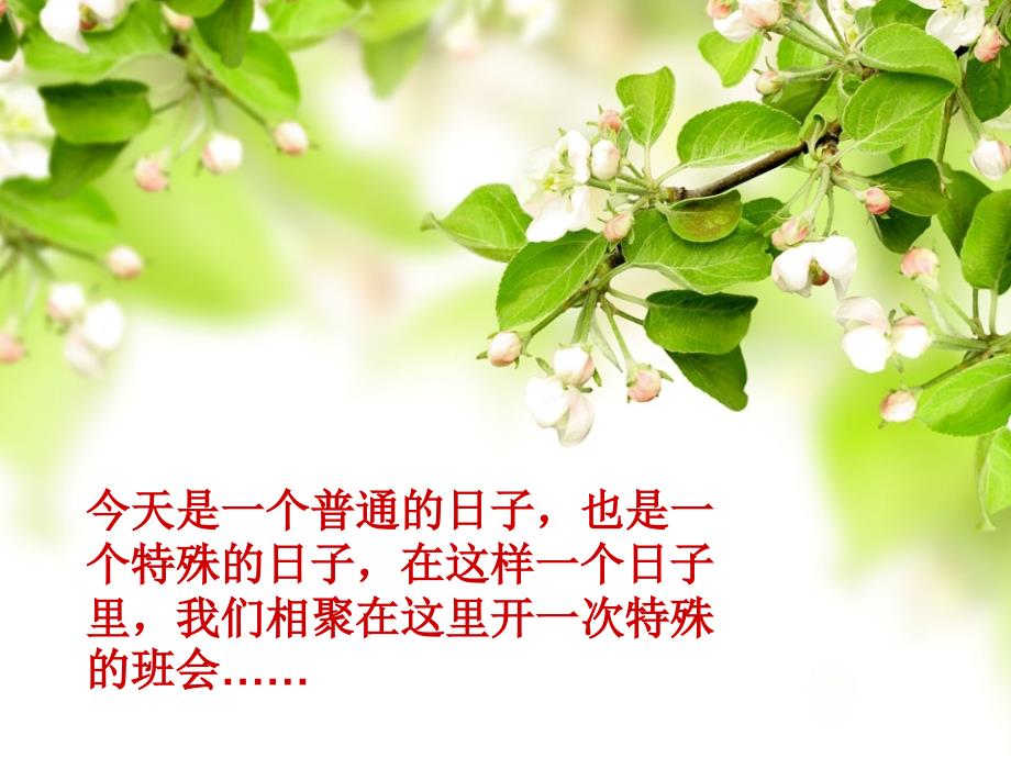 班会生日会PPT课件.ppt_第2页