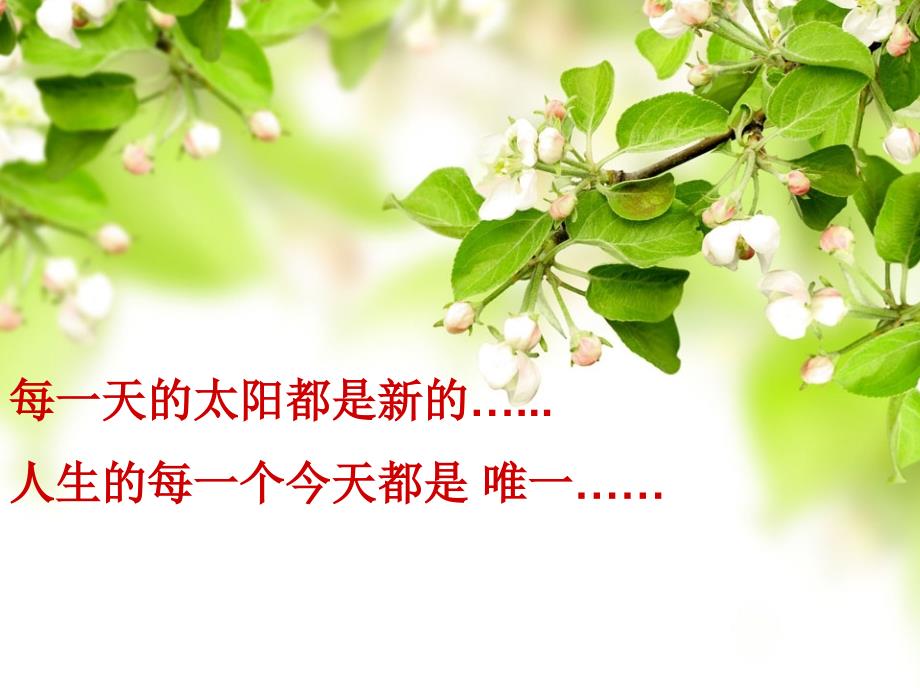 班会生日会PPT课件.ppt_第3页