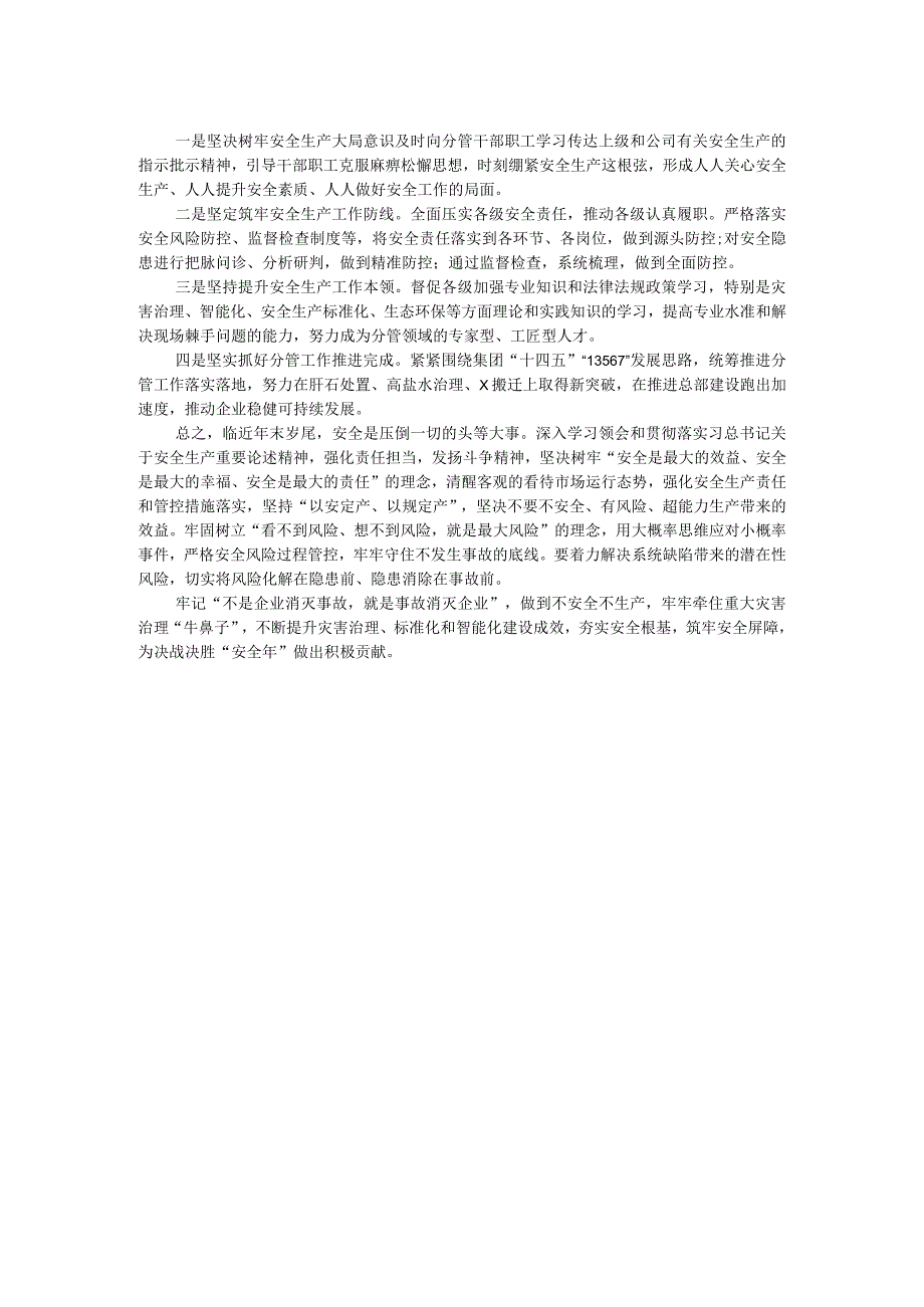 公司党委理论中心组关于安全生产的研讨交流发言材料.docx_第2页