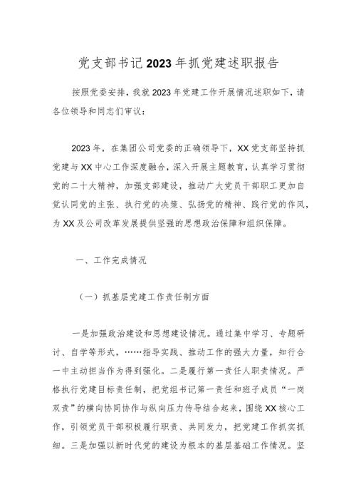 党支部书记2023年抓党建述职报告.docx
