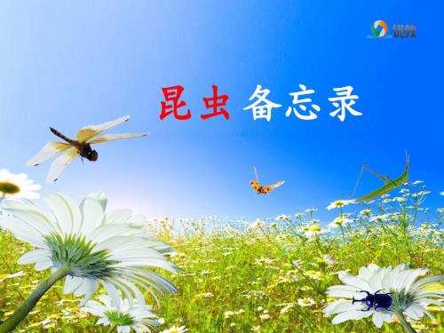 三年级下册昆虫备忘录PPT课件.ppt
