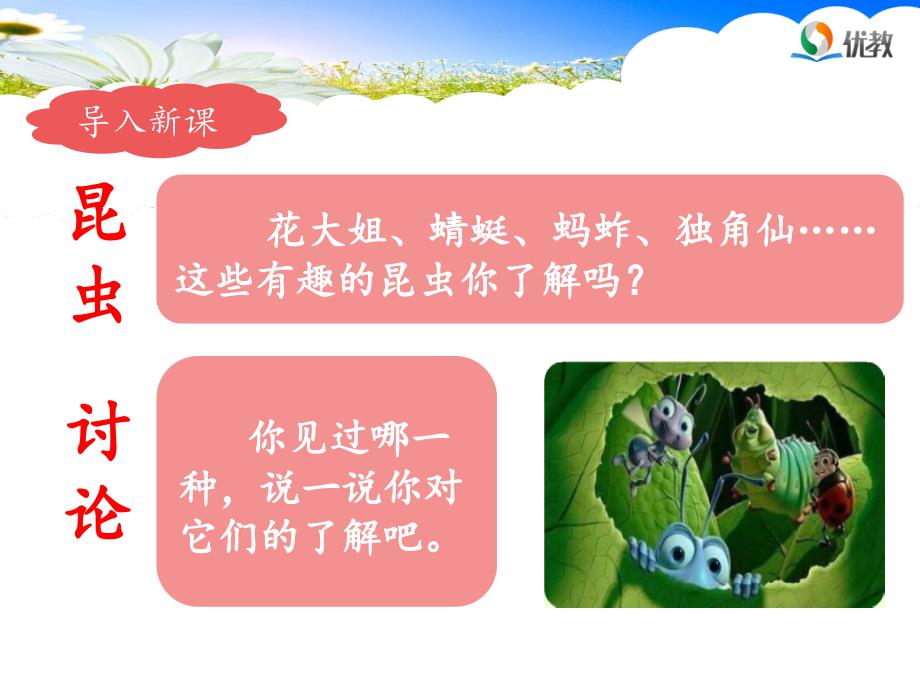 三年级下册昆虫备忘录PPT课件.ppt_第3页