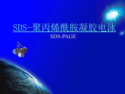 SDSPAGE原理步骤详细介绍含图片.ppt
