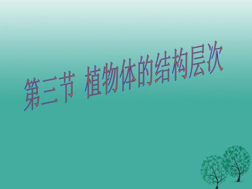七年级生物上册223植物体的结构层次课件新版新人教版.ppt