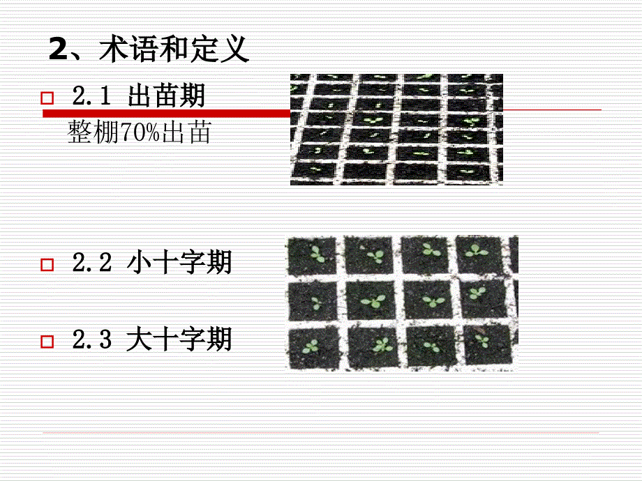 烟草漂浮育苗技术.ppt_第3页