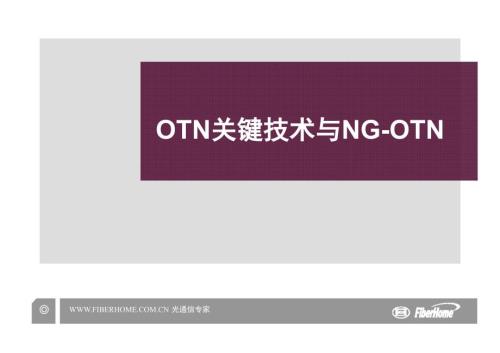 OTN关键技术与NGOTN.ppt