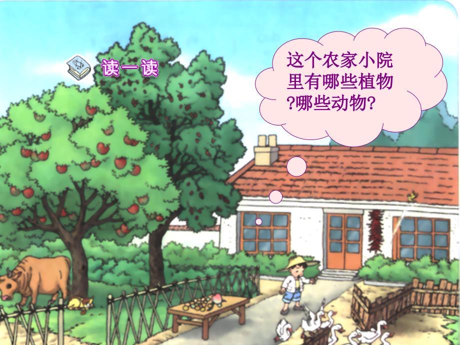 大小多少课件.ppt_第2页