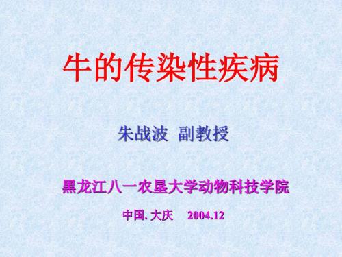 牛病专题ppt课件.ppt