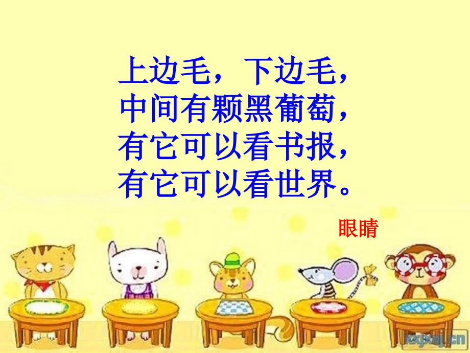 眼睛是心灵的窗户主题班会课件.ppt_第1页