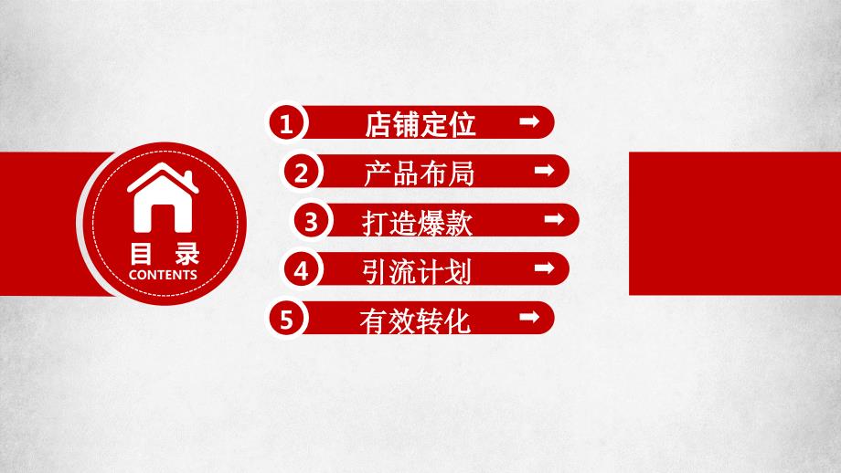 电子商务运营方案.ppt_第2页