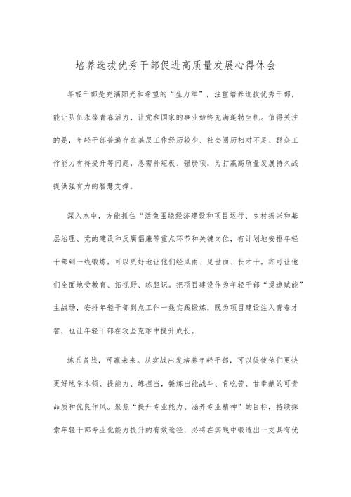 培养选拔优秀干部促进高质量发展心得体会.docx
