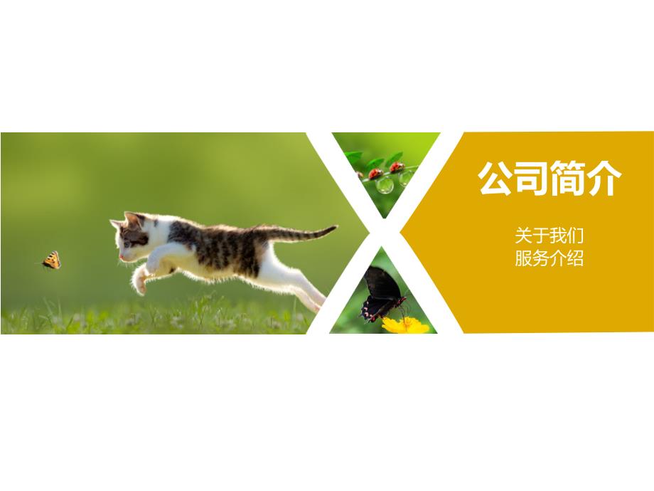 宠物店创业计划书PPT课件.ppt_第3页