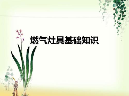 燃气灶具基础知识PPT课件.ppt