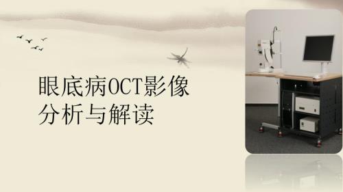 眼底病OCT解读.ppt
