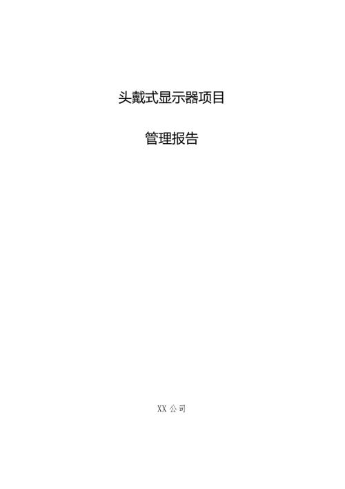 头戴式显示器项目管理报告.docx