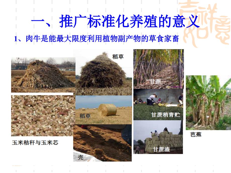 肉牛标准化养殖PPT课件.ppt_第3页