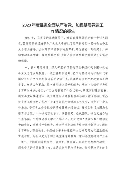2023个人推进全面从严治党、加强基层党建工作情况总结报告.docx