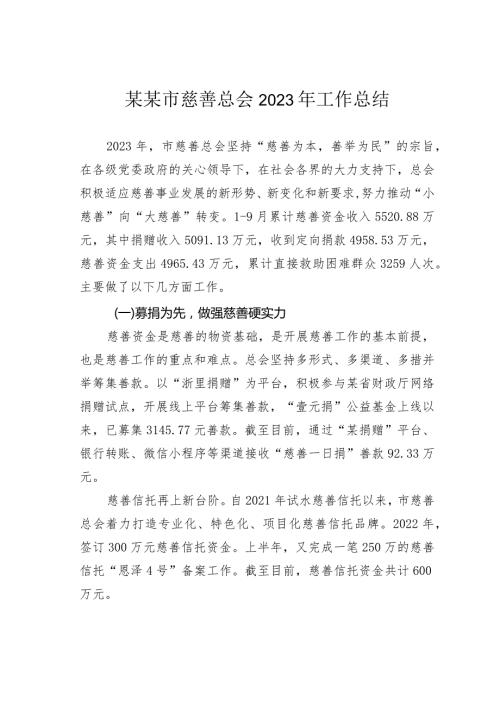 某某市慈善总会2023年工作总结.docx
