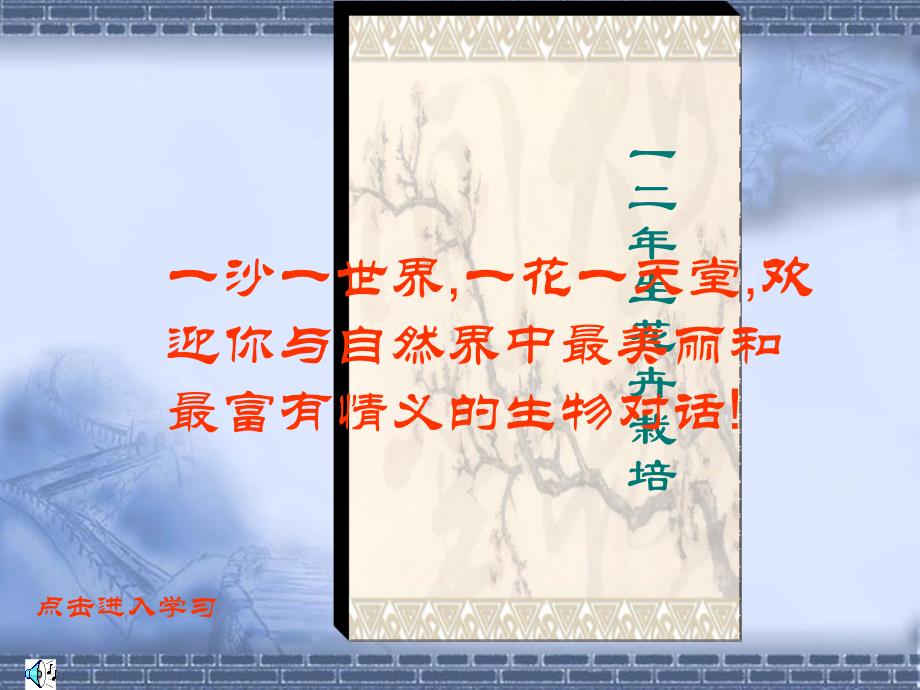 一二年生花卉栽培.ppt_第1页
