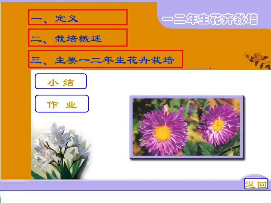 一二年生花卉栽培.ppt_第3页