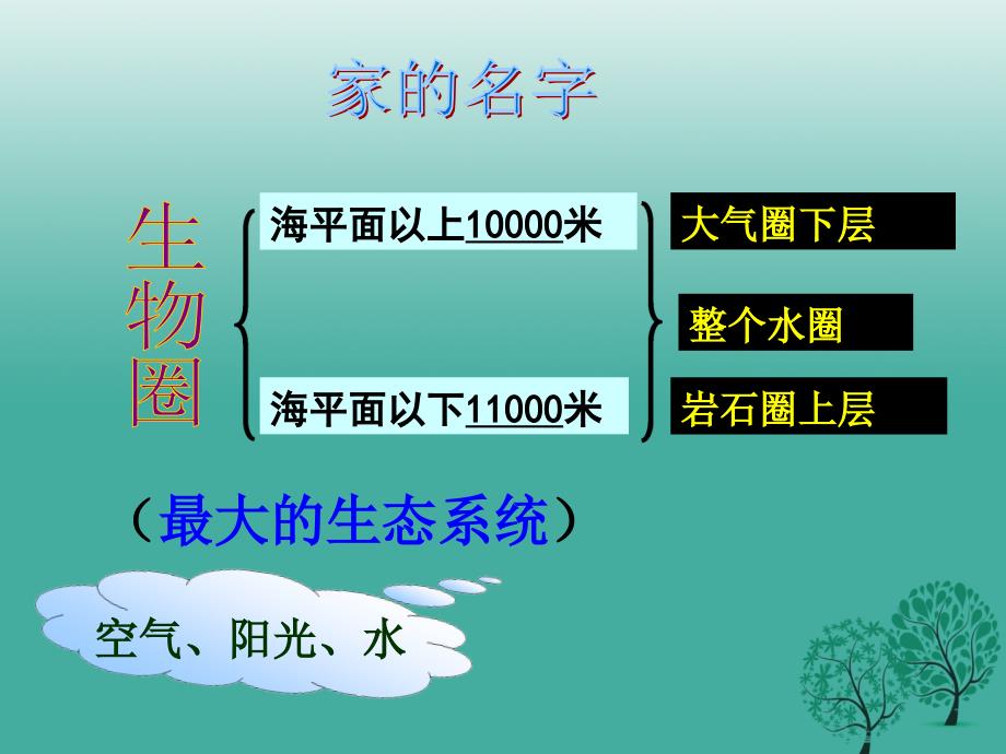 七年级生物上册第1单元认识生命复习课件1北师大版.ppt_第2页