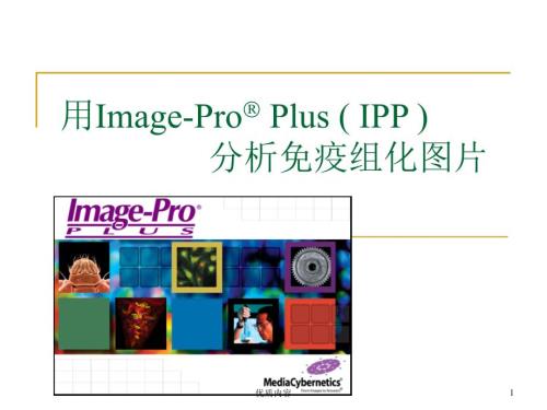 用ImageProPlus分析免疫组化图片参考材料.ppt