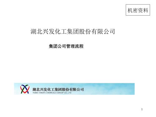 实例极品精华湖北兴发化工集团股份公司集团管理流程图附所有使用表格ppt158页.ppt