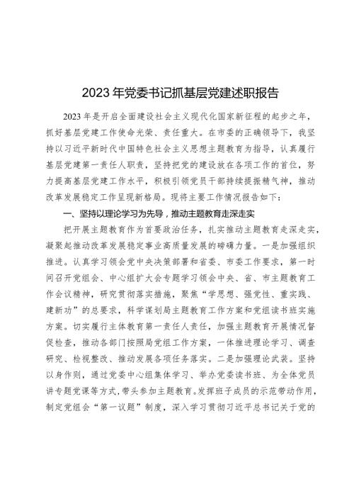 20232024年党委书记抓基层党建述职报告.docx