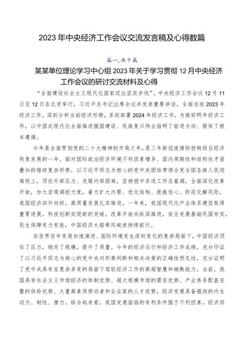 2023年中央经济工作会议交流发言稿及心得数篇.docx