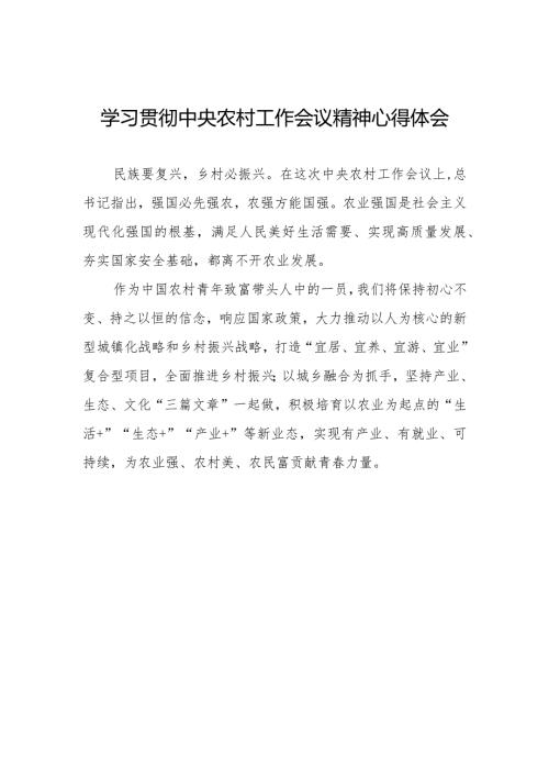 学习2023年中央农村工作会议精神心得体会.docx