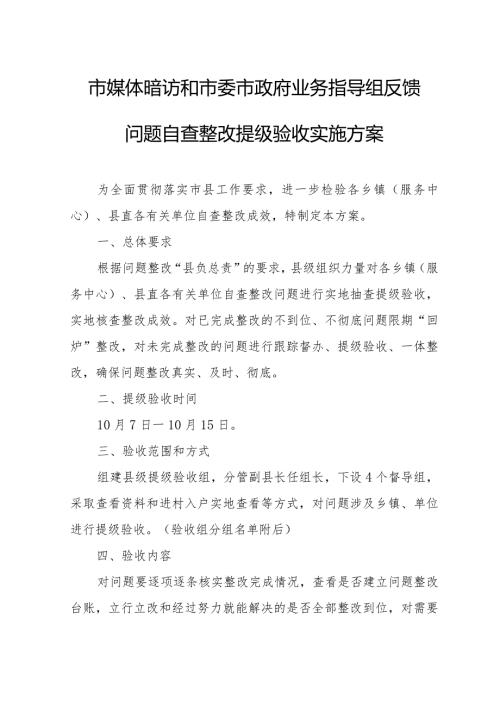 市媒体暗访和市委市政府业务指导组反馈问题自查整改提级验收实施方案.docx