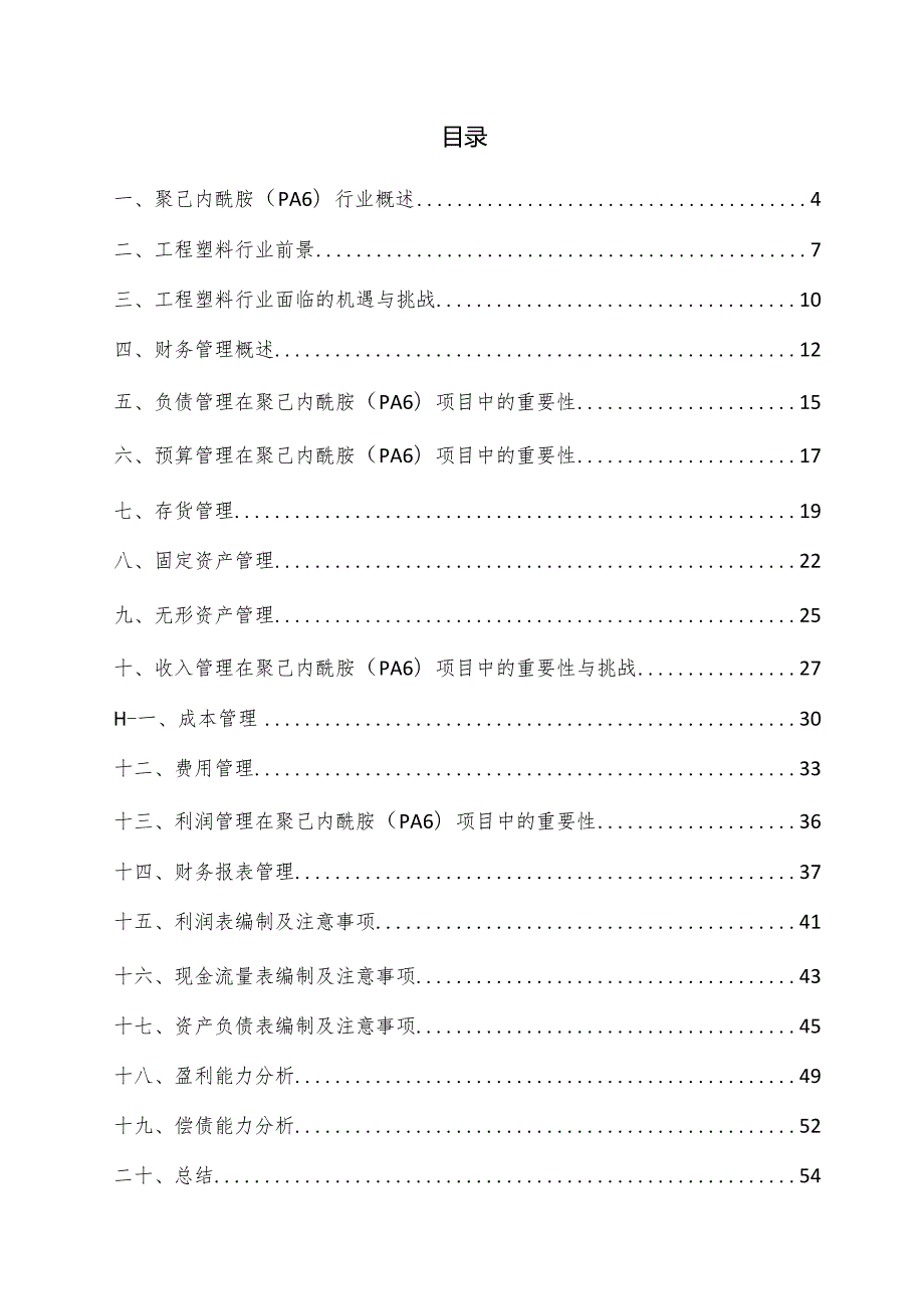 聚己内酰胺（PA6）项目财务管理方案.docx_第3页