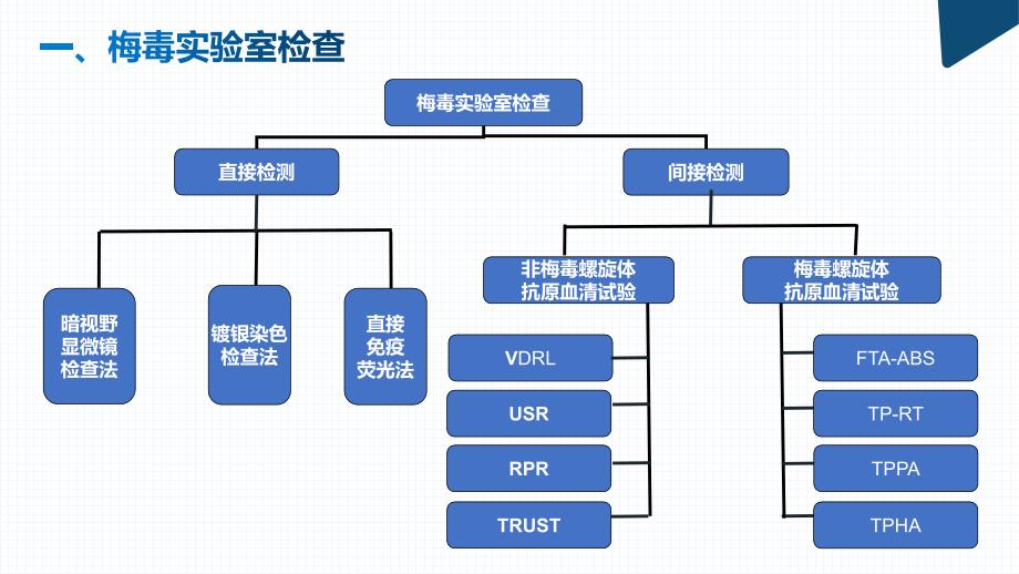 妊娠合并梅毒.ppt_第3页
