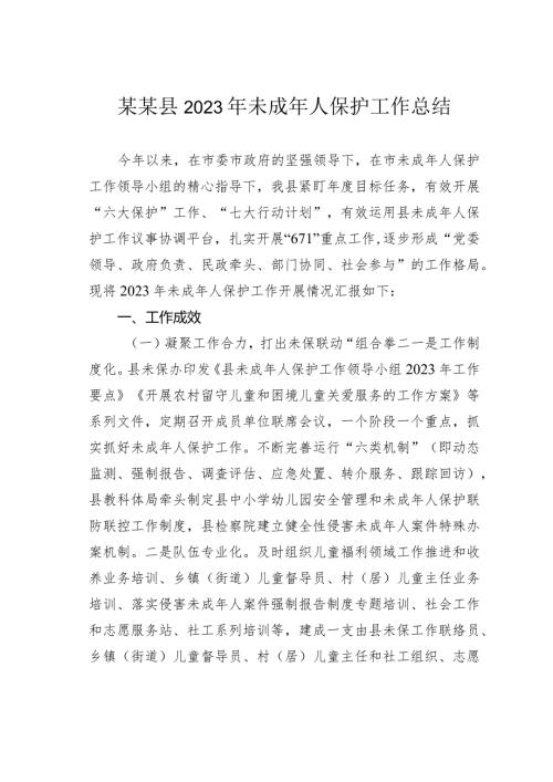 某某县2023年未成年人保护工作总结.docx