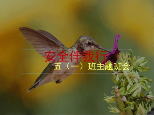 安全伴我行主题班会PPT.ppt