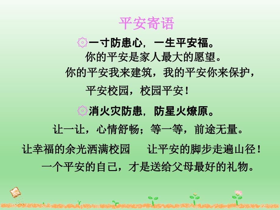 安全伴我行主题班会PPT.ppt_第2页